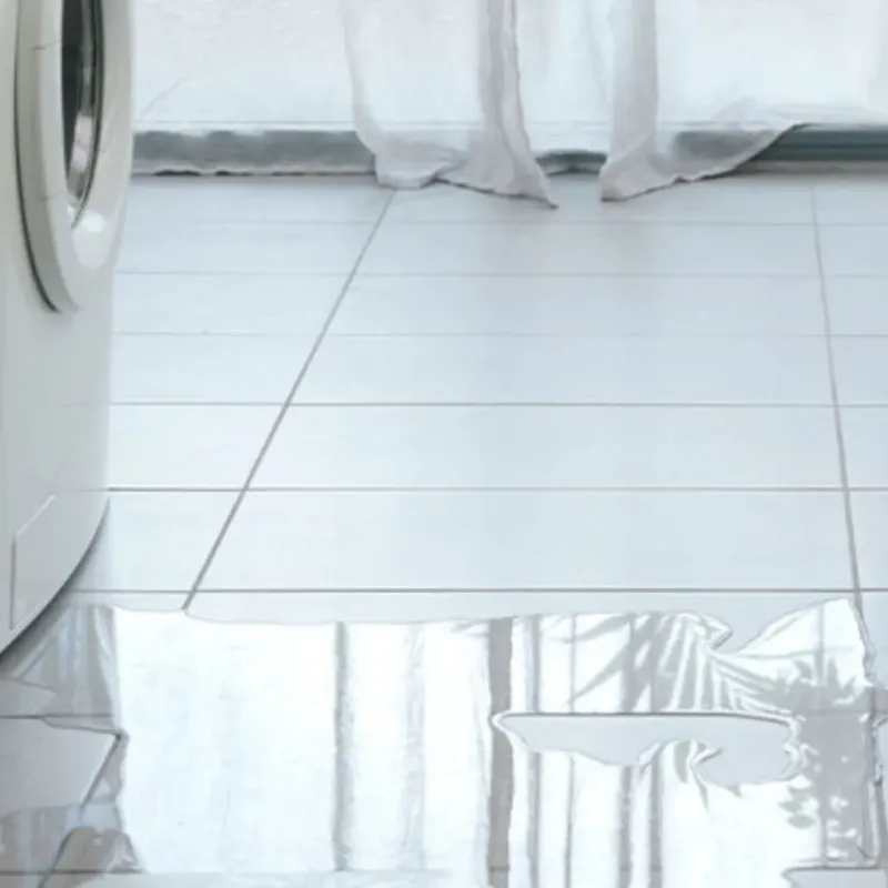 Appliance Leak Cleanup in Springville, VA