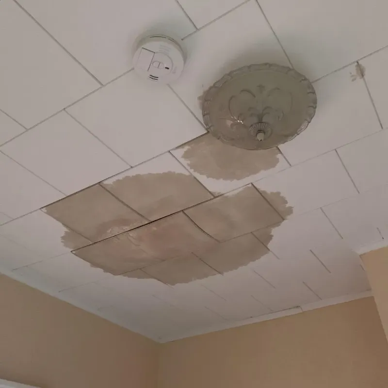 Ceiling Water Damage Repair in Springville, VA