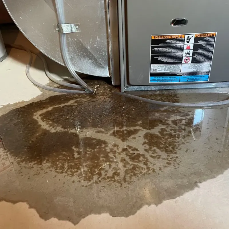 Pipe Burst and Leak Restoration in Springville, VA