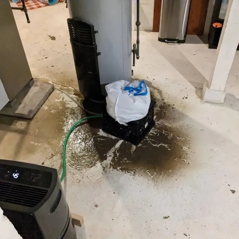 Sewage Backup Cleanup Service in Springville, VA